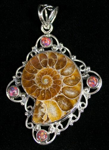 Fossil Ammonite Pendant - Sterling Silver #10170